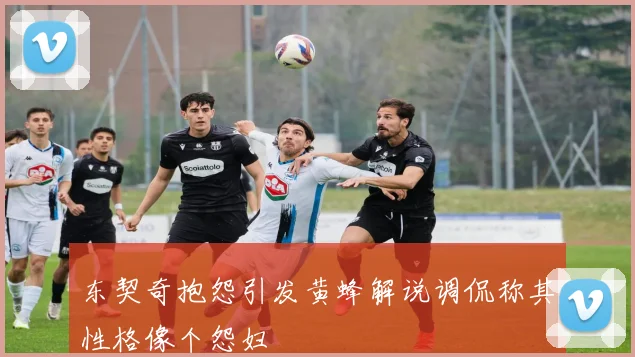 东契奇抱怨引发黄蜂解说调侃称其性格像个怨妇